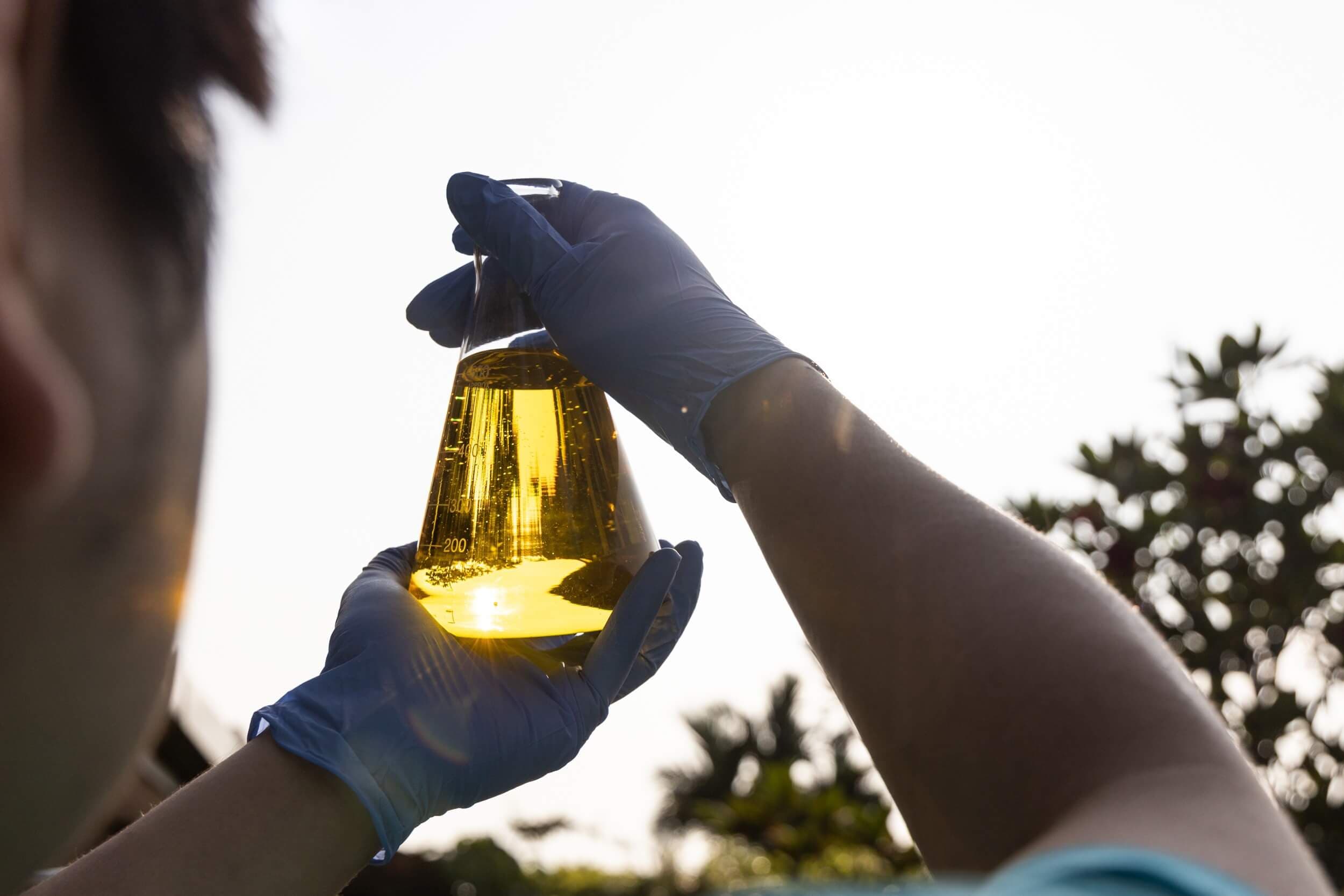 Como se fabrica el biodiesel