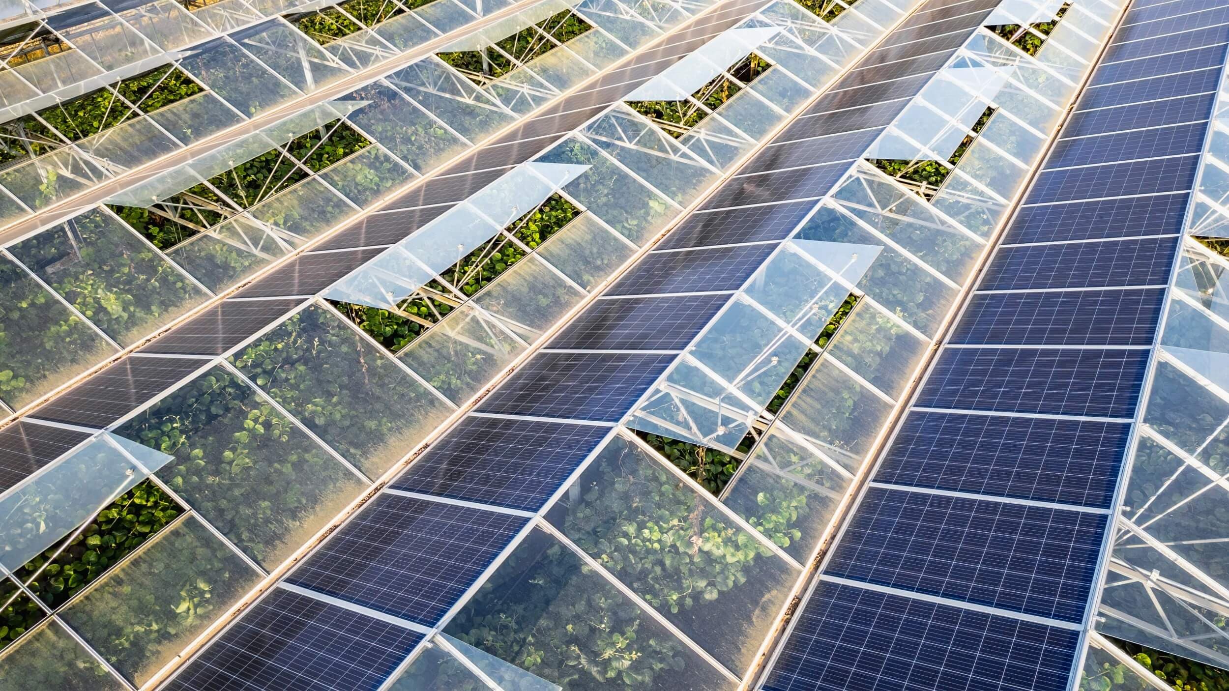 Cuántos tipos de energías renovables hay en total