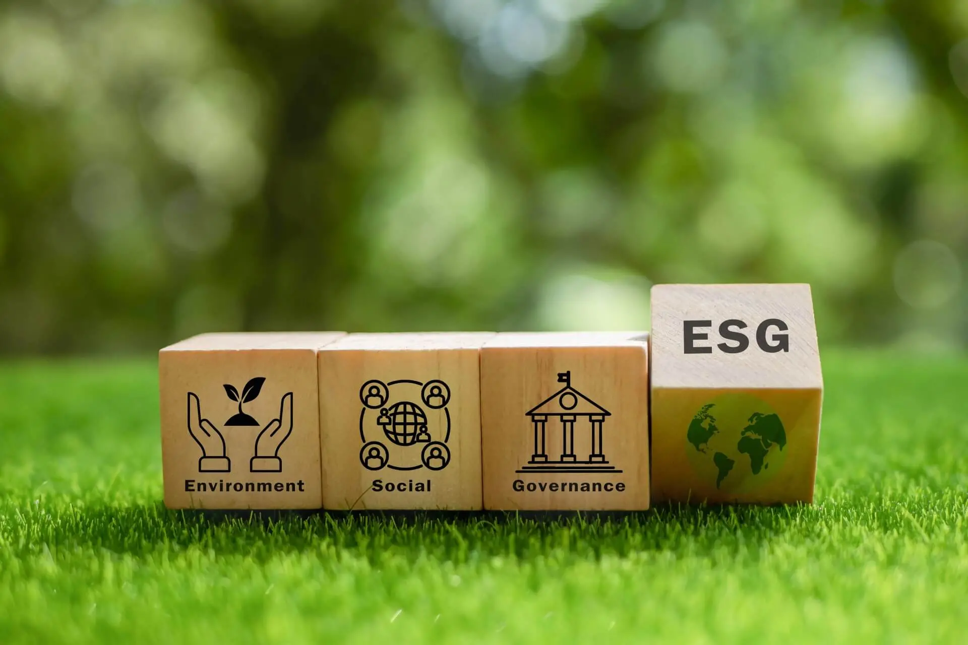 ¿Qué son los criterios ESG y cómo integrarlos en mi negocio?