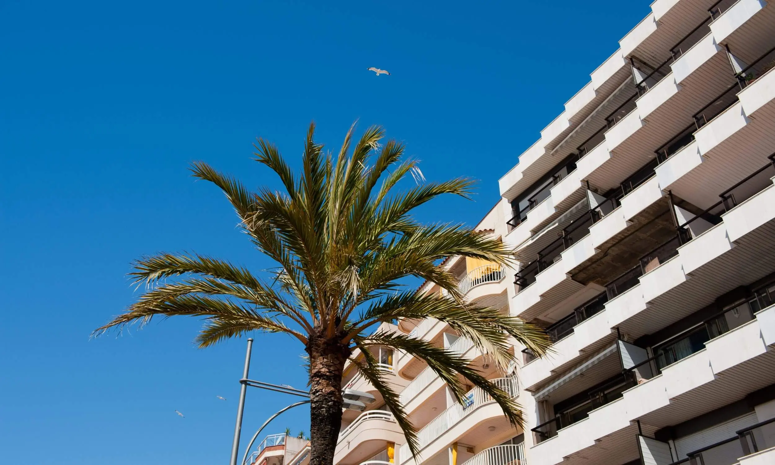 Tarifas eléctricas en verano: ¿cuál es la mejor para segundas residencias?