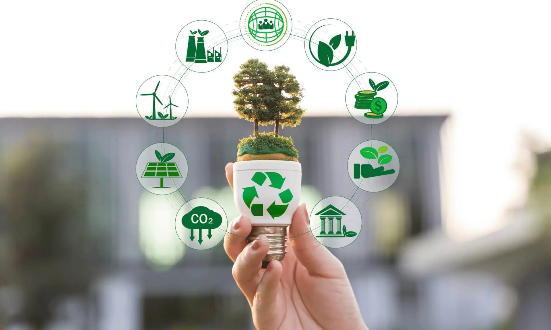 Green friday empresas sostenibles