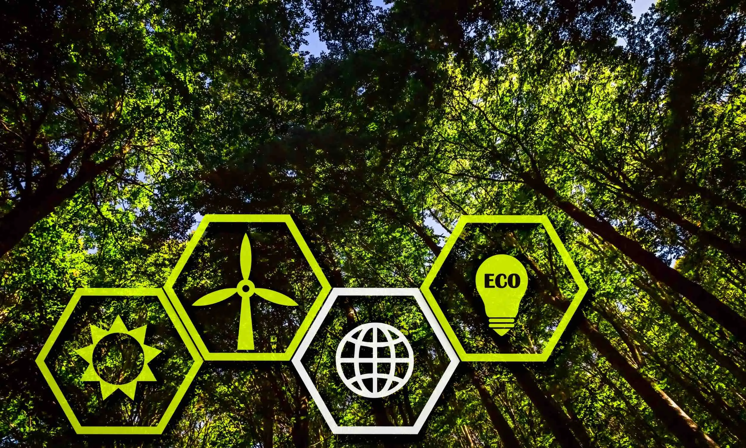 Smart Grids y transición verde: redes eléctricas inteligentes en acción