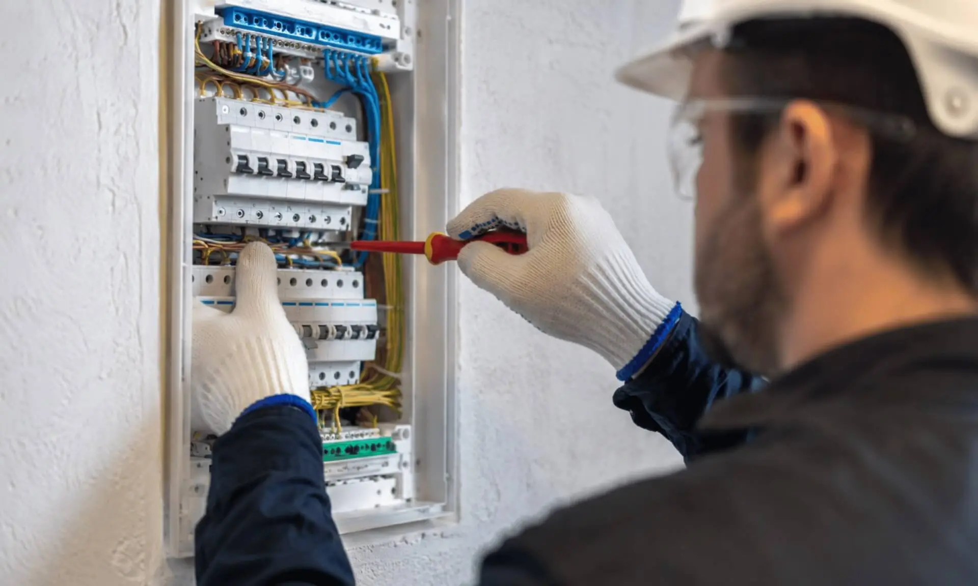 renovacion contrato luz