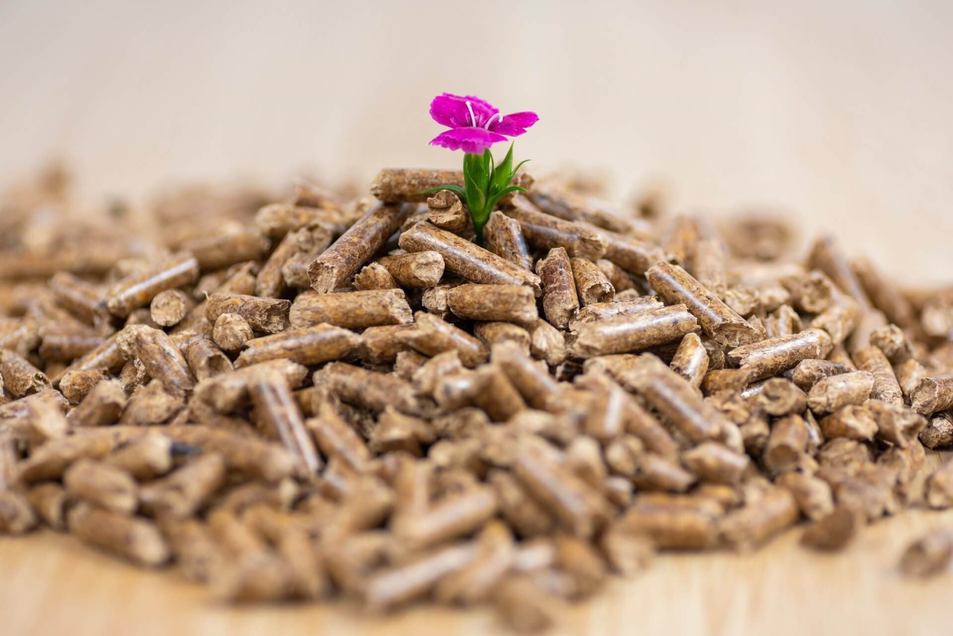 Tipos de cenizas procedentes de la biomasa