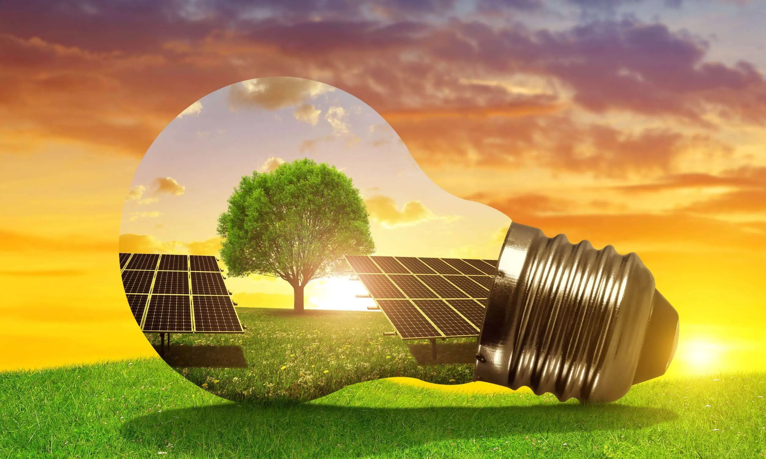 Vender energía solar: ¿cómo funciona y cuánto puedes ganar?